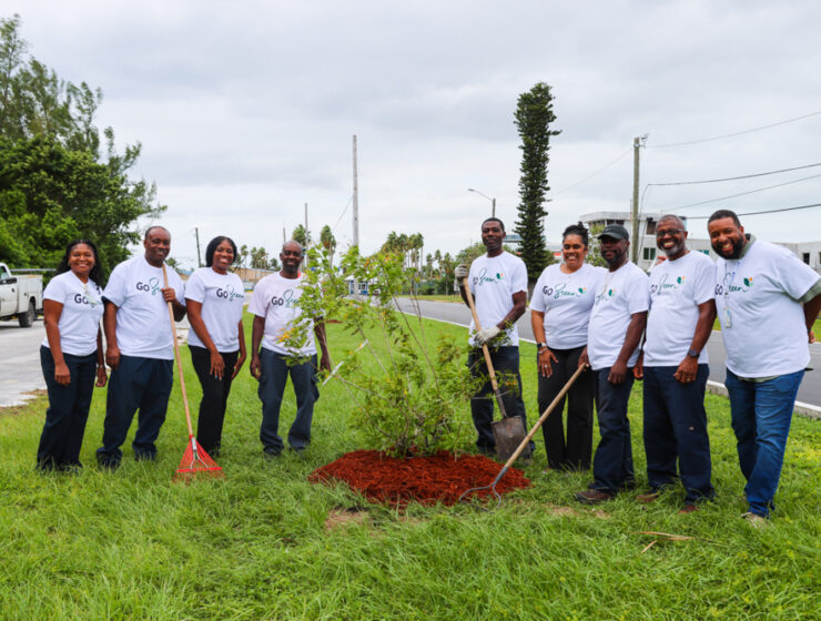 GO GREEN TREE PLANTING sm-4