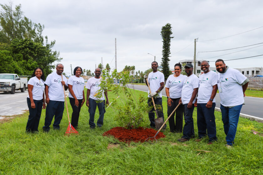 GO GREEN TREE PLANTING sm-4