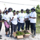 FHC HARVESTS MANGROVE SHOOTS FOR REPLANTING